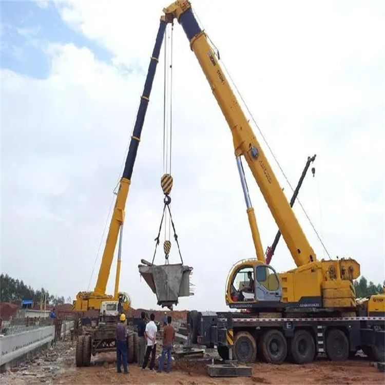 蒙山小型吊机出租电话|厂房设备吊装方案|24小时服务覆盖