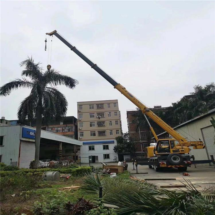 蒙山吊车吊大树几种方法